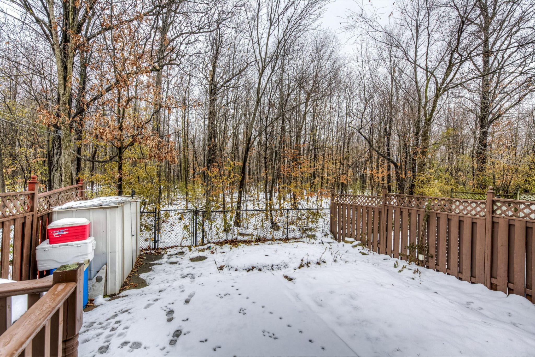 Backyard backing on to a beautiful ravine with towering trees