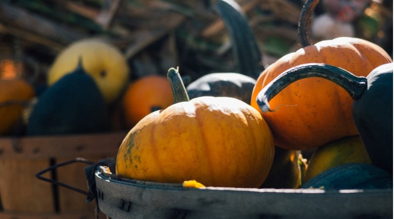 Pumpkins laying in basket