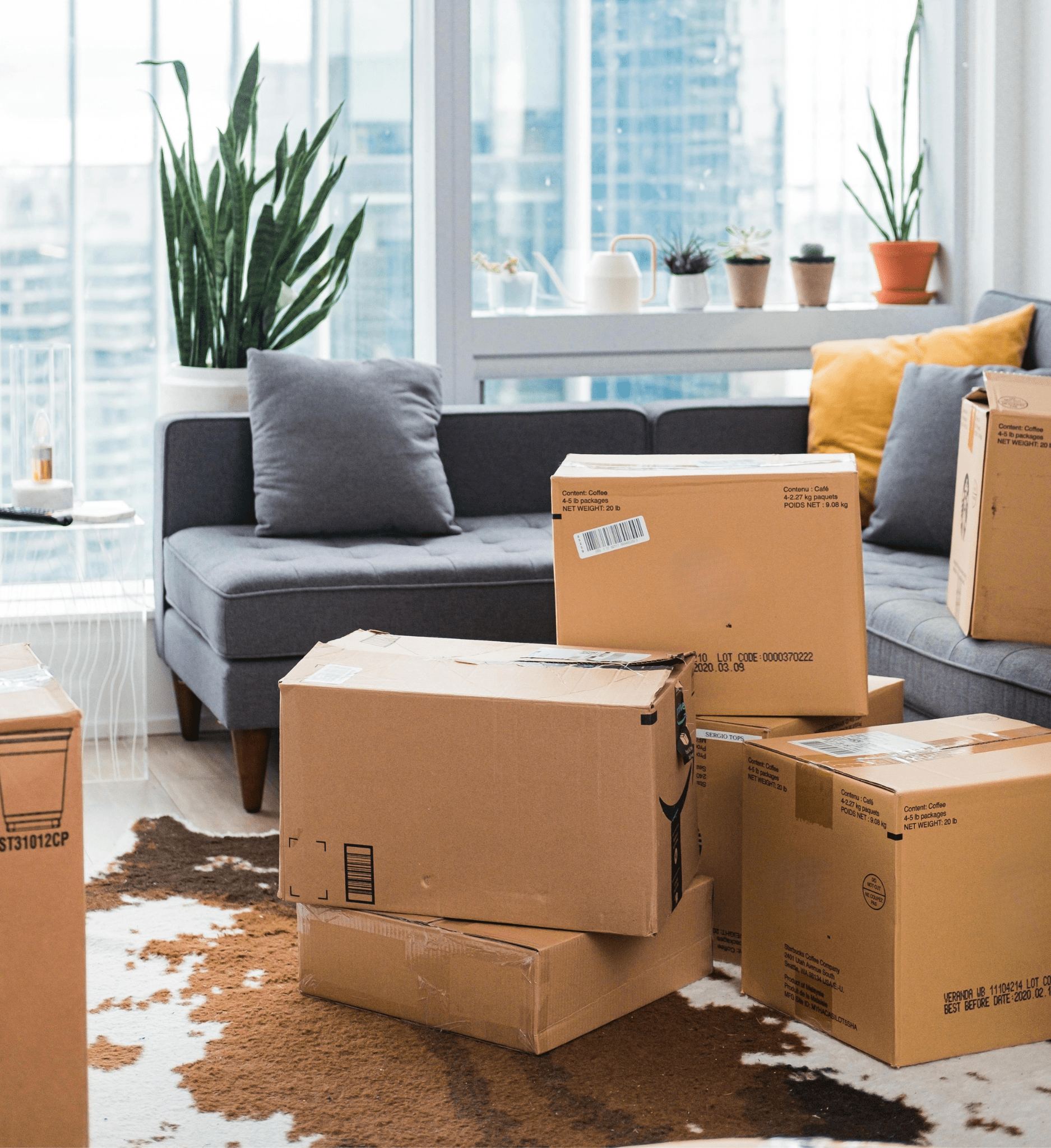 Boxes and household items during a downsizing move in Ontario home.