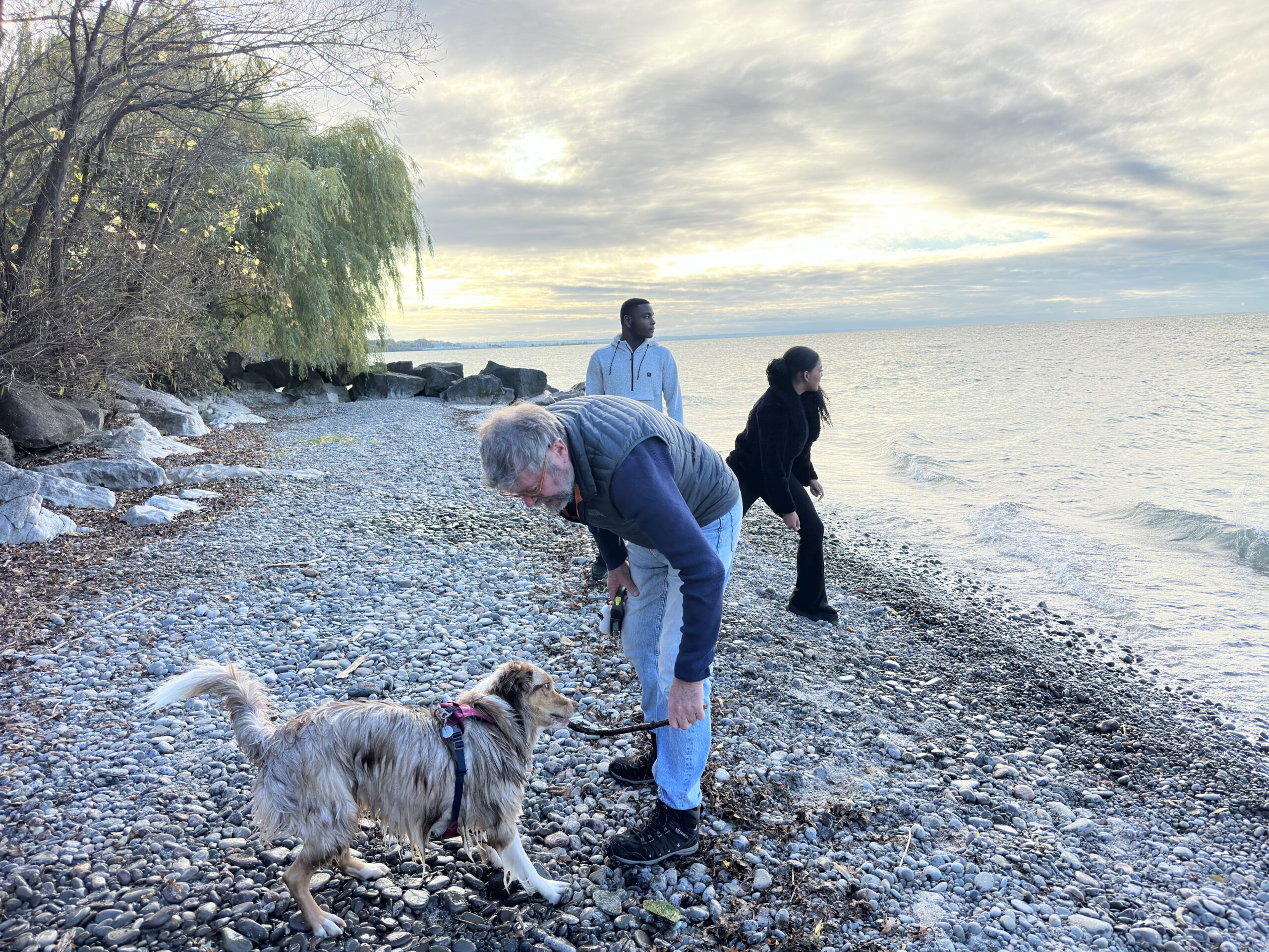 Family walking along the shoreline in the Niagara Region