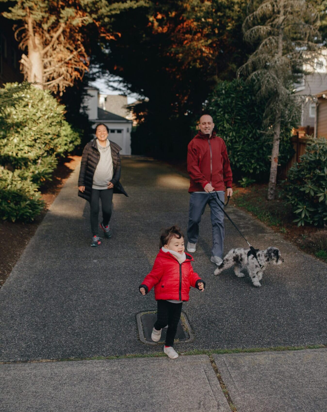 Family with young child and dog walking through a GTA neighbourhood on a tree-lined residential street