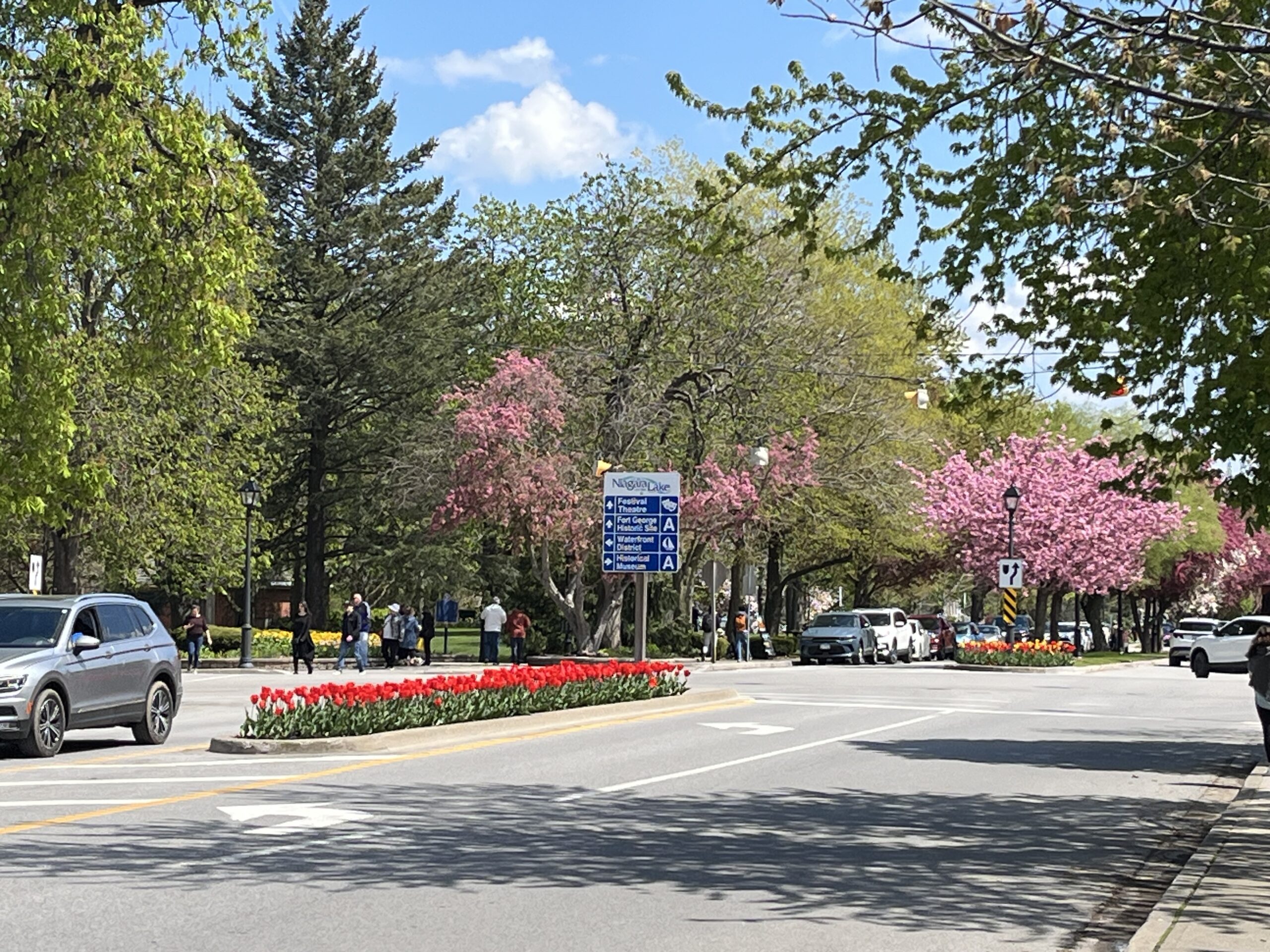 Spring flowers in Niagara-on-the-Lake Ontario