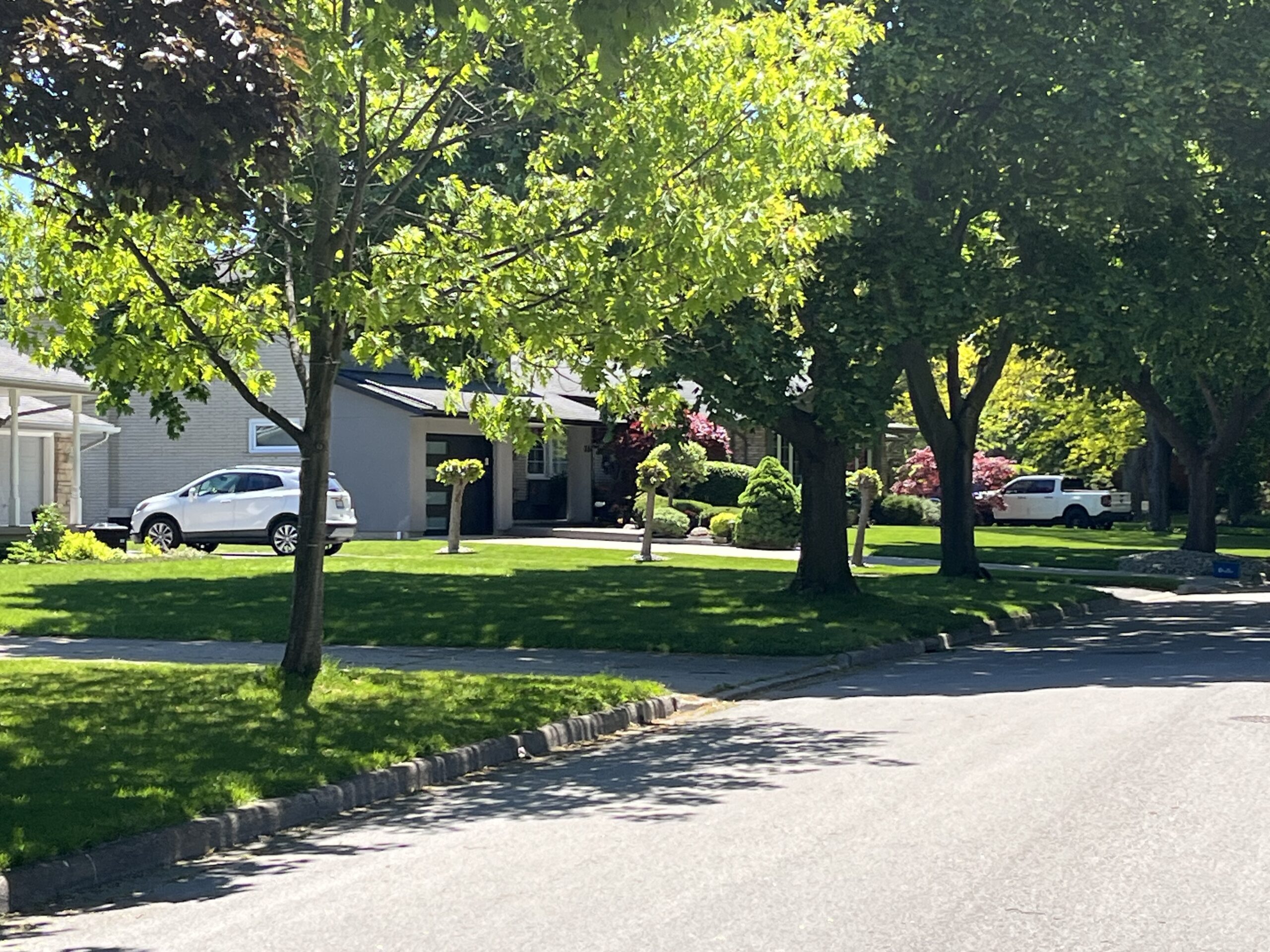 Established residential street in the Lakeshore Community of St. Catharines
