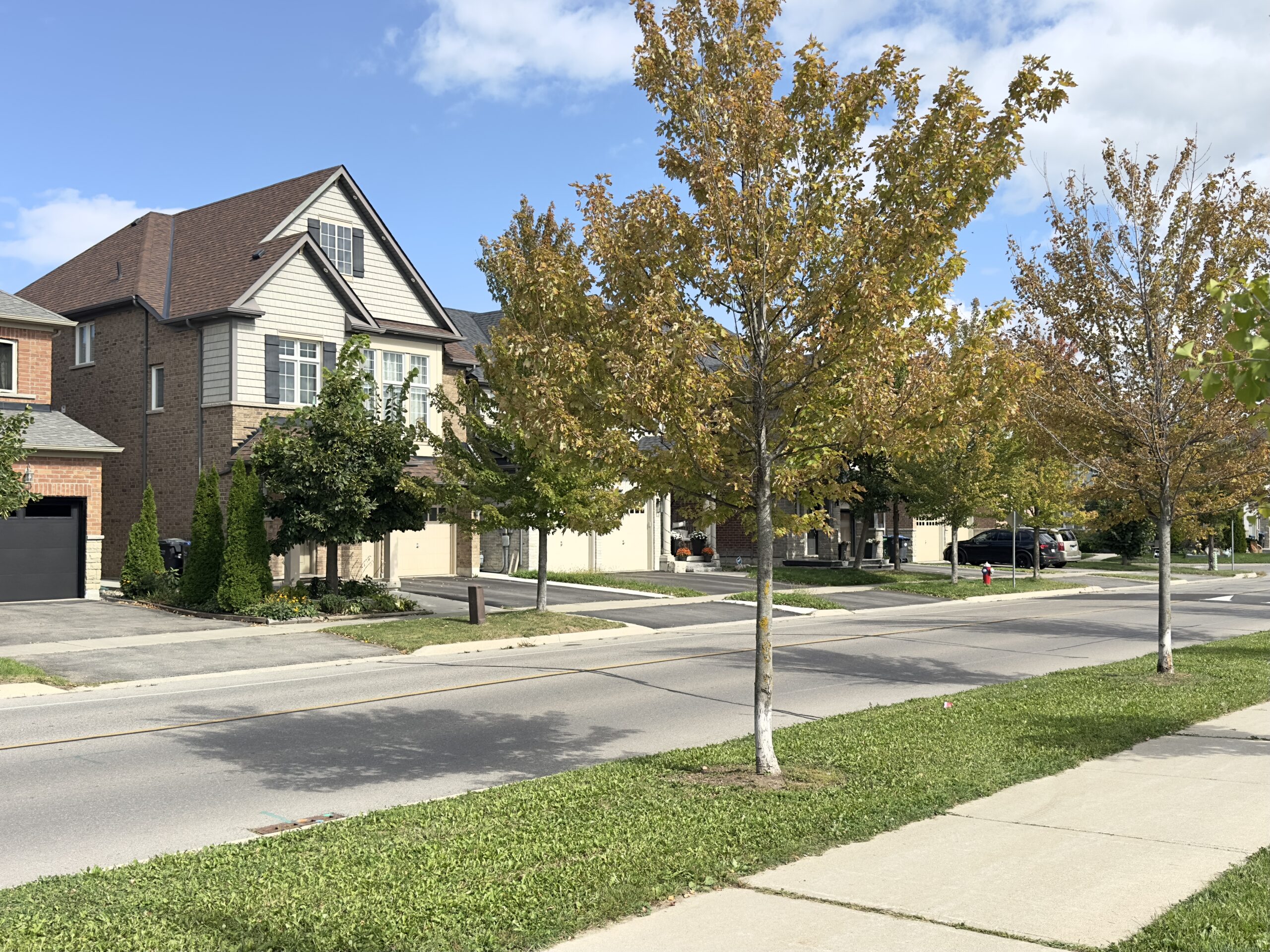 Tree-lined residential street with sidewalks in Southfields, Caledon